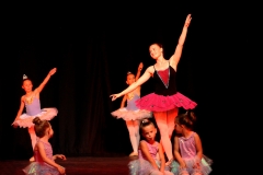 Kids Ballet 14