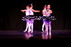 Kids Ballet 3